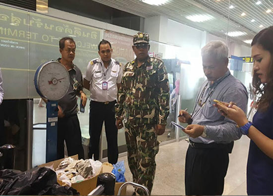 ยึดหอยมือเสือ-ปะการัง คาสนามบินกระบี่ เหตุนักท่องเที่ยวแอบลักลอบขึ้นเครื่อง