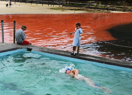 Australia: Blood Red Ocean
