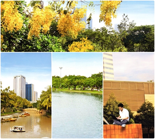 โครงการอุทยานสวนจตุจักร