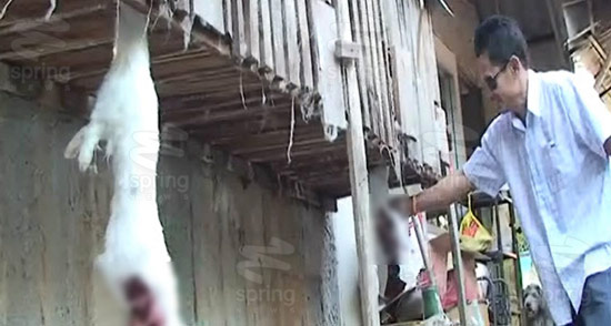 กระต่ายโดนควักไส้