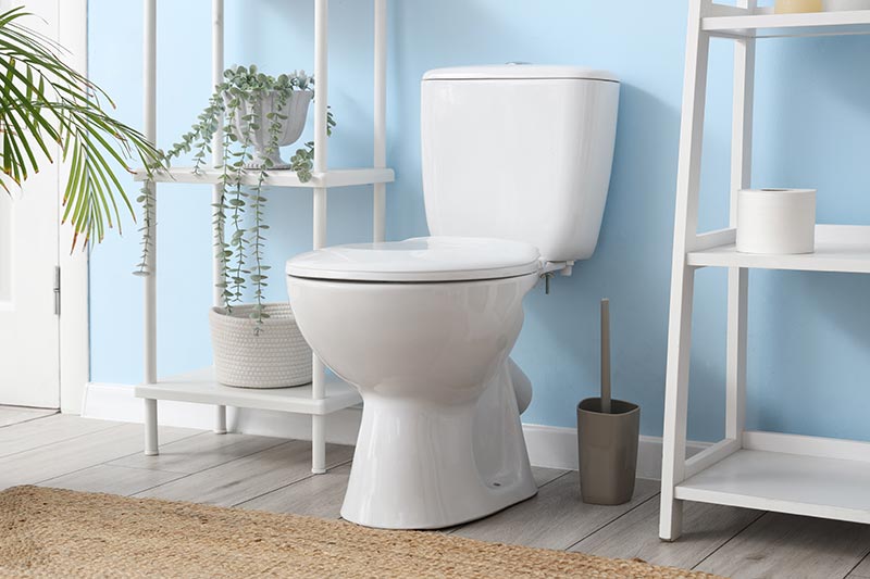 วันส้วมโลก