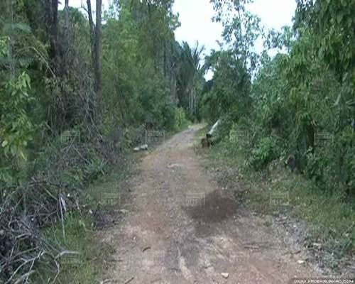 ข่าวเอกยุทธ อัญชันบุตร