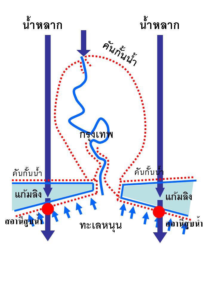 โครงการแก้มลิง