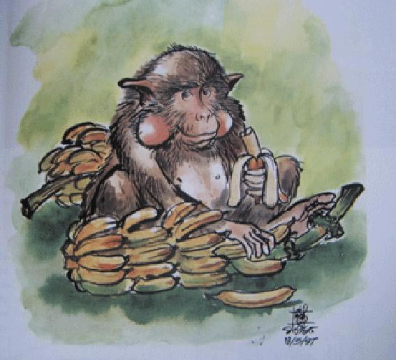 โครงการแก้มลิง