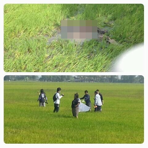 พลุระเบิด สวนแตง 