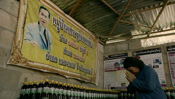 โครงการชีววิถีเพื่อการพัฒนาอย่างยั่งยืน