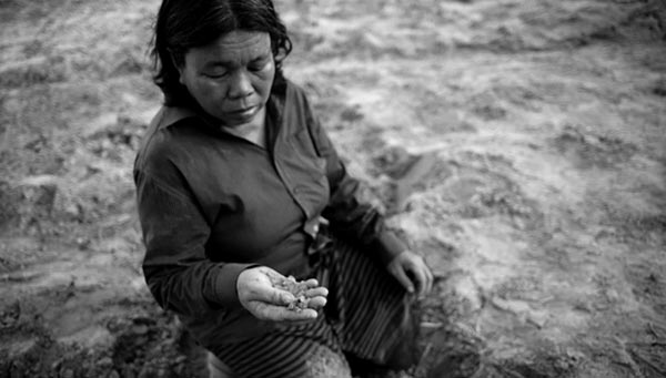 โครงการชีววิถีเพื่อการพัฒนาอย่างยั่งยืน