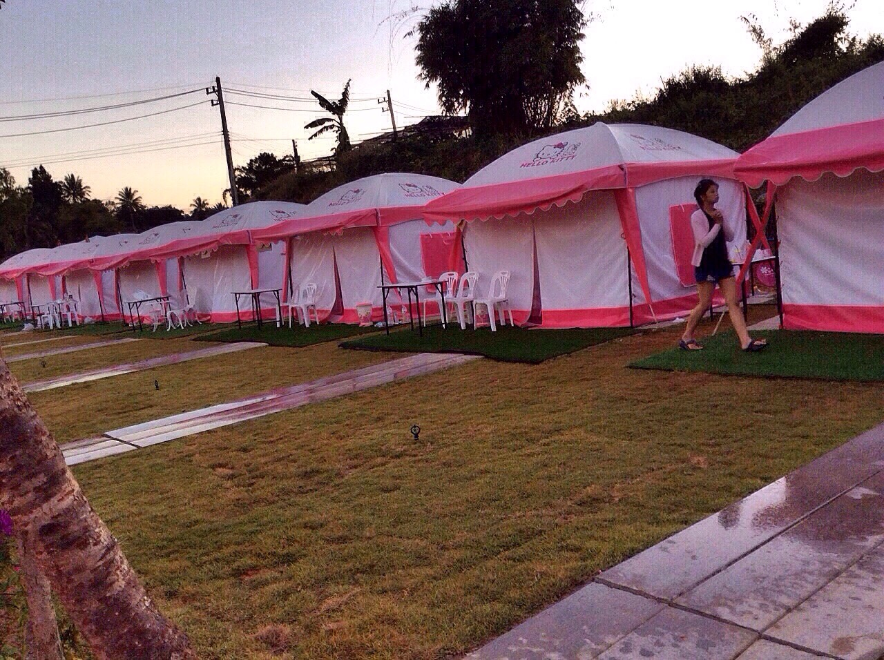 คิตตี้รีสอร์ท