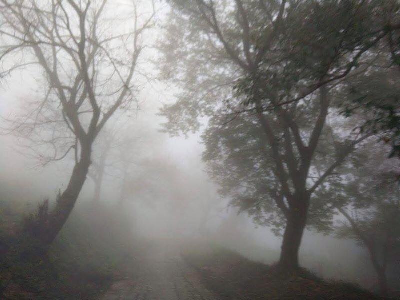 โรงเรียนบรรพตวิทยา