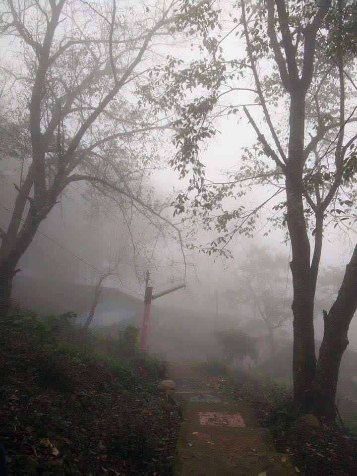 โรงเรียนบรรพตวิทยา