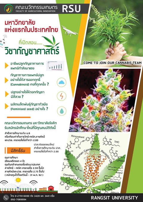 กัญชาศาสตร์