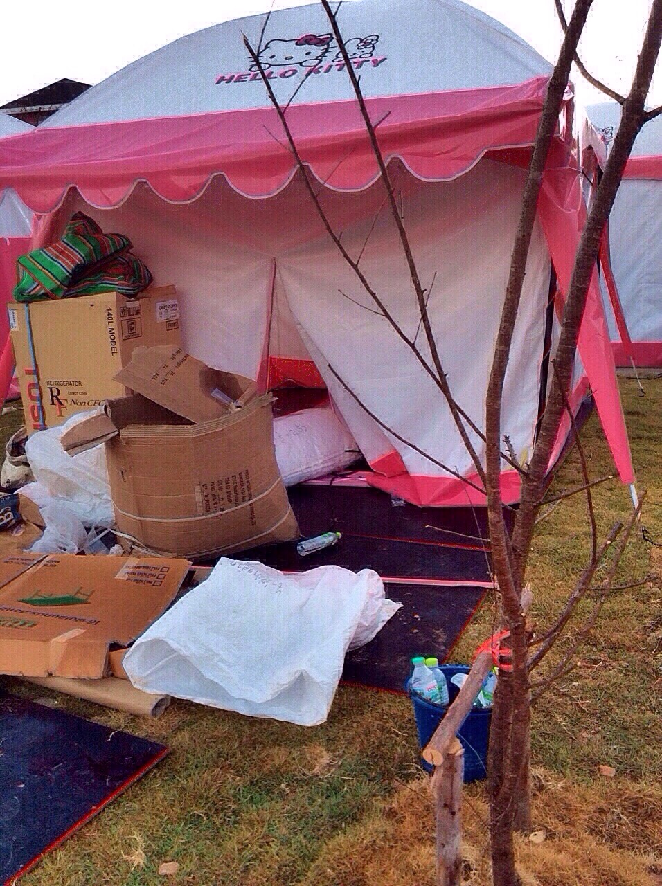 คิตตี้รีสอร์ท