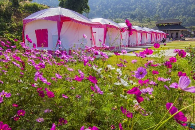 คิตตี้รีสอร์ท