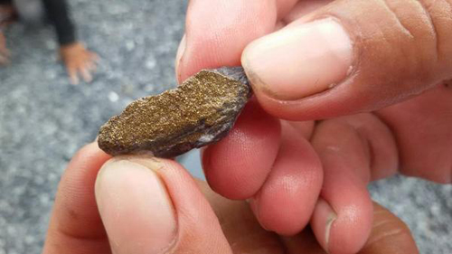 แร่ทองคำ บางบอน