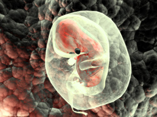 สเปิร์มใหม่ ท้องได้โดยไม่ง้อเพศชาย