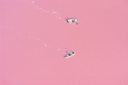 pink lake  senegal  ทะเลสาบสีชมพู