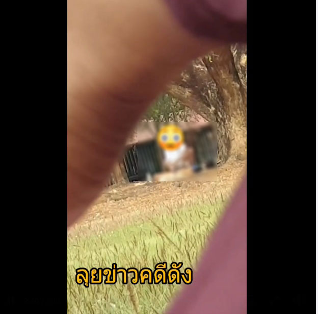 คู่รักเสื่อม