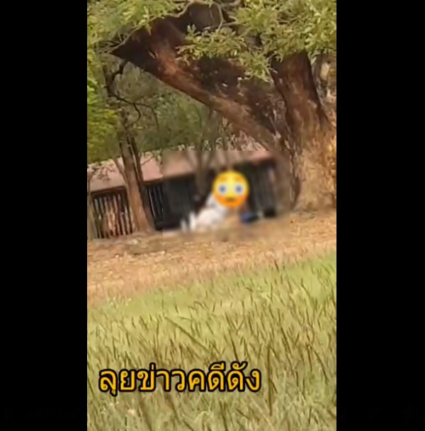 คู่รักเสื่อม