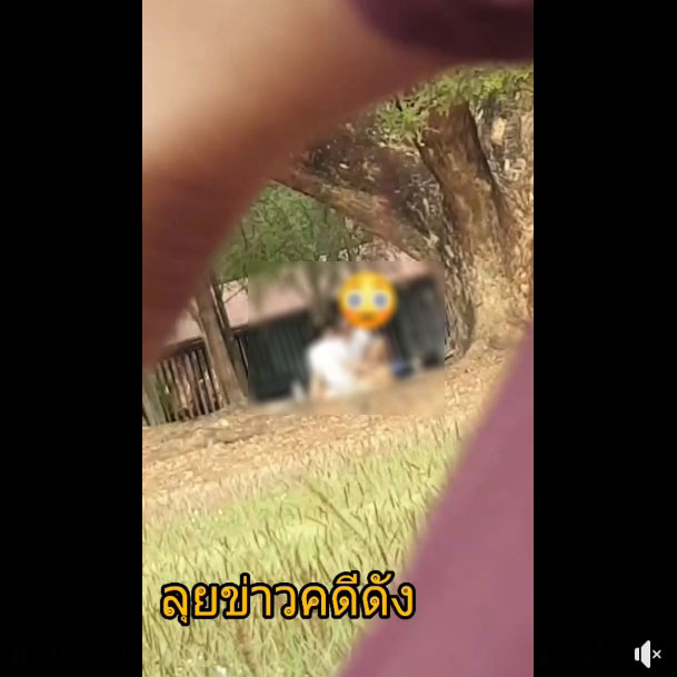 คู่รักเสื่อม