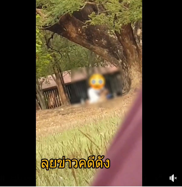 คู่รักเสื่อม