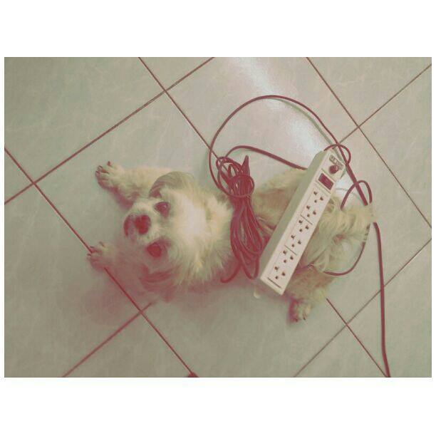 ดรีมบาร์โค้ด