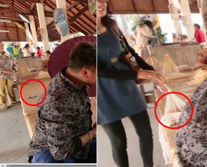 มนุษย์ป้ากับคุณหมึกแดง