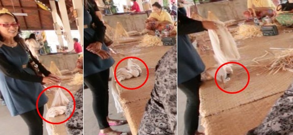 มนุษย์ป้ากับคุณหมึกแดง