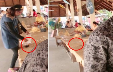 มนุษย์ป้ากับคุณหมึกแดง