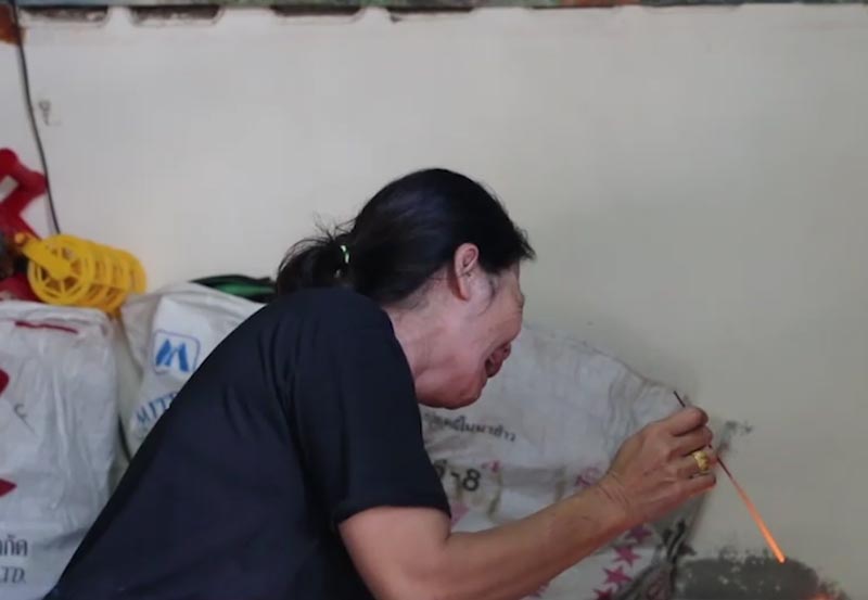 น้าจิตป่วยทุบหลานดับ