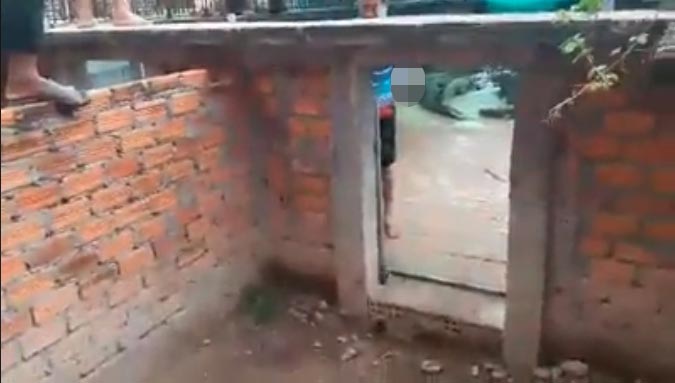 เด็กถูกจระเข้รุมขย้ำ