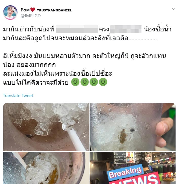 แมลงสาบในน้ำ