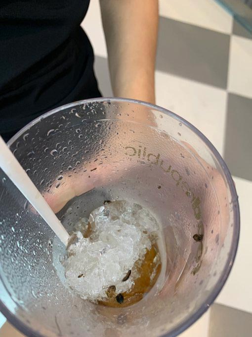 แมลงสาบในน้ำ