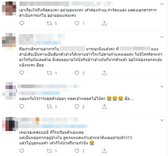 แมลงสาบในน้ำ