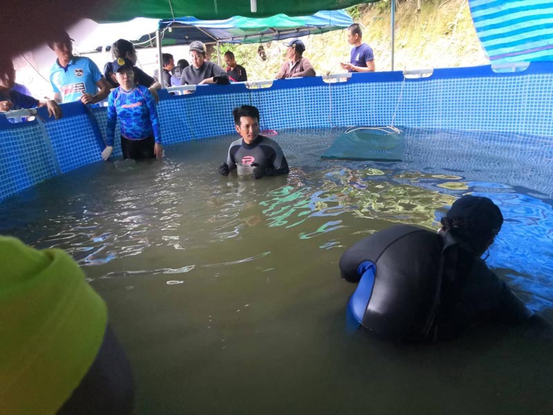 ย้ายพะยูนมาเรียม