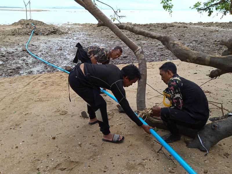 ย้ายพะยูนมาเรียม