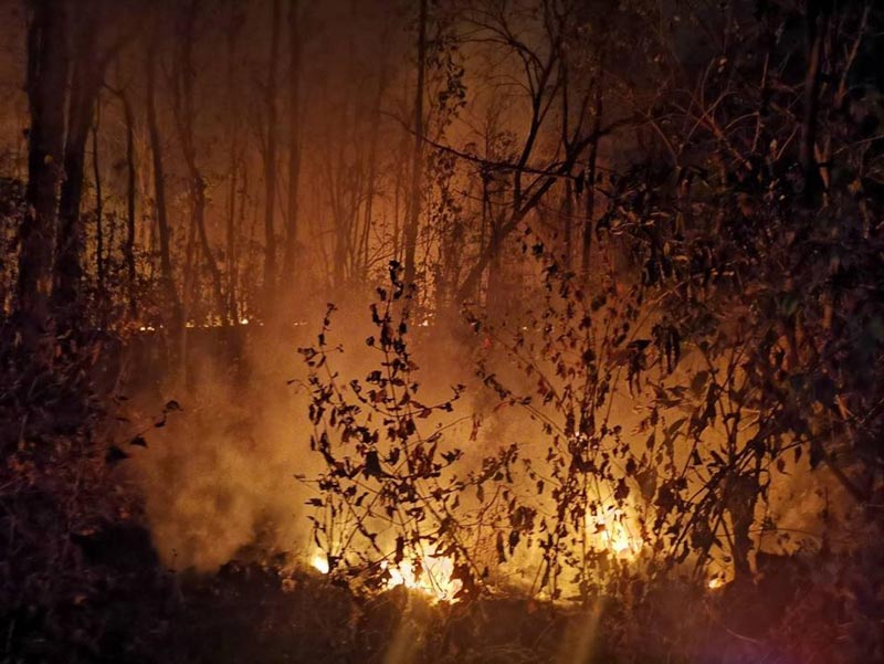 ฟไหม้พื้นที่ป่าสงวนแห่งชาติ