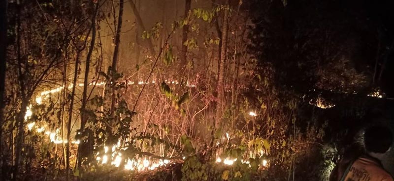 ฟไหม้พื้นที่ป่าสงวนแห่งชาติ