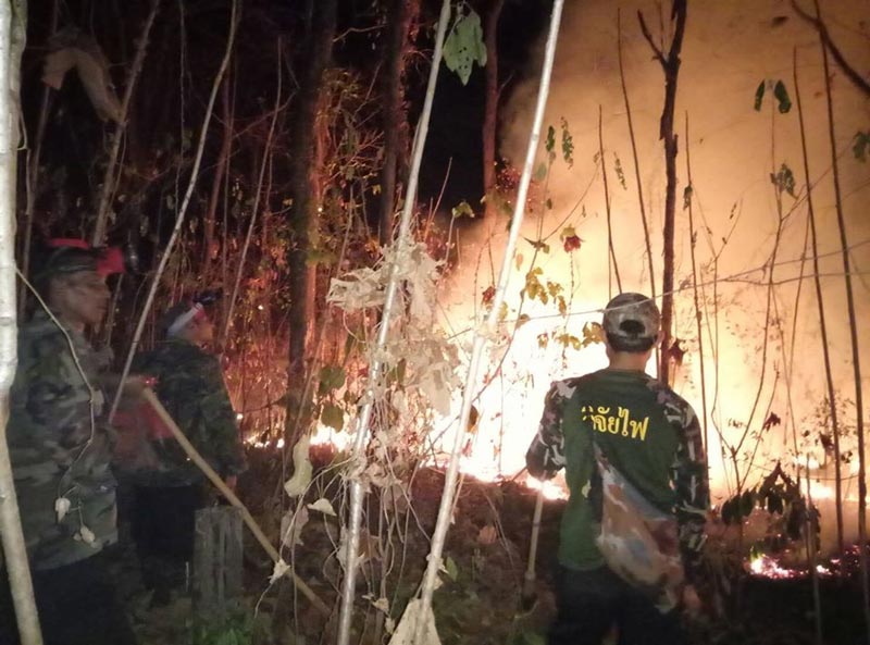 ฟไหม้พื้นที่ป่าสงวนแห่งชาติ