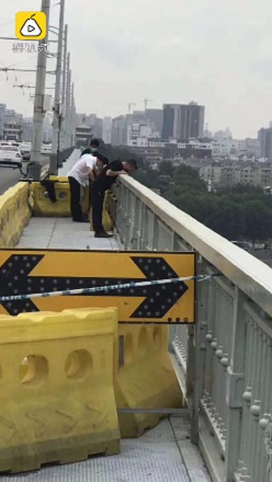 สุนัขนั่งรอเจ้าของ