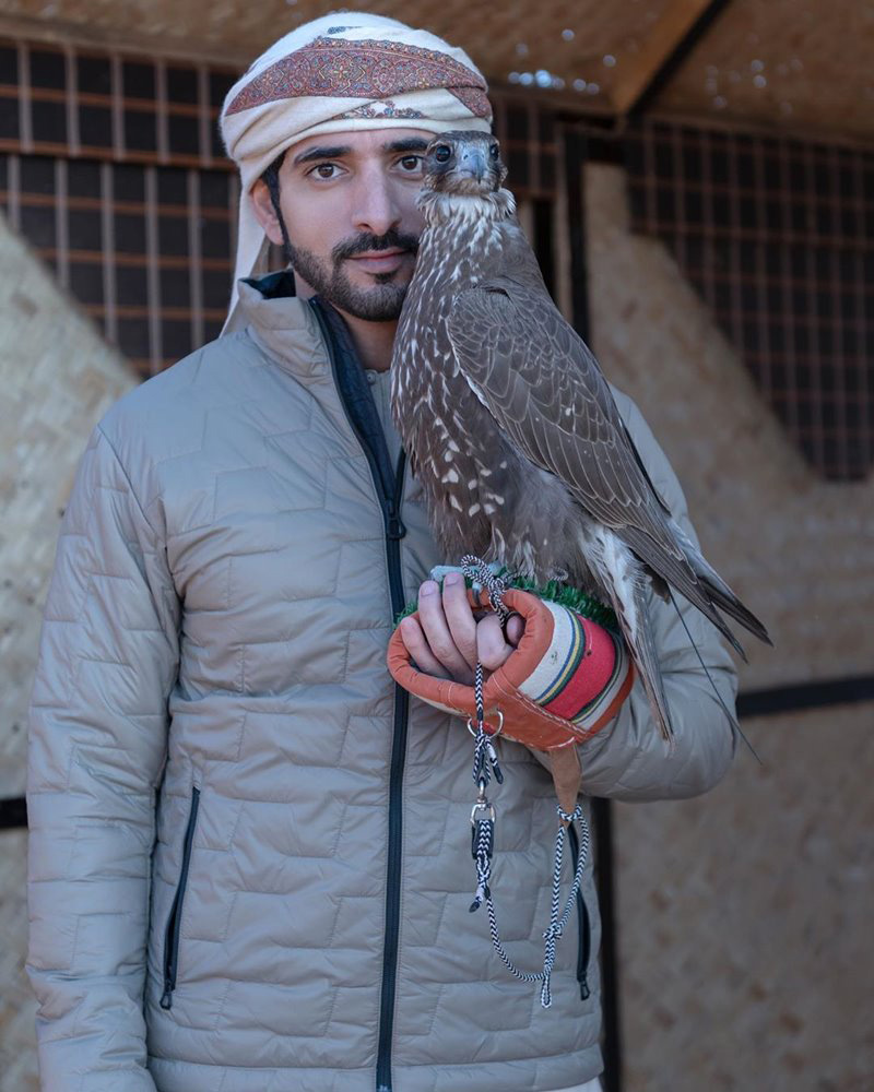 เจ้าชายดูไบ ทรงอัปเดตคลิปนกน้อยทำรัง