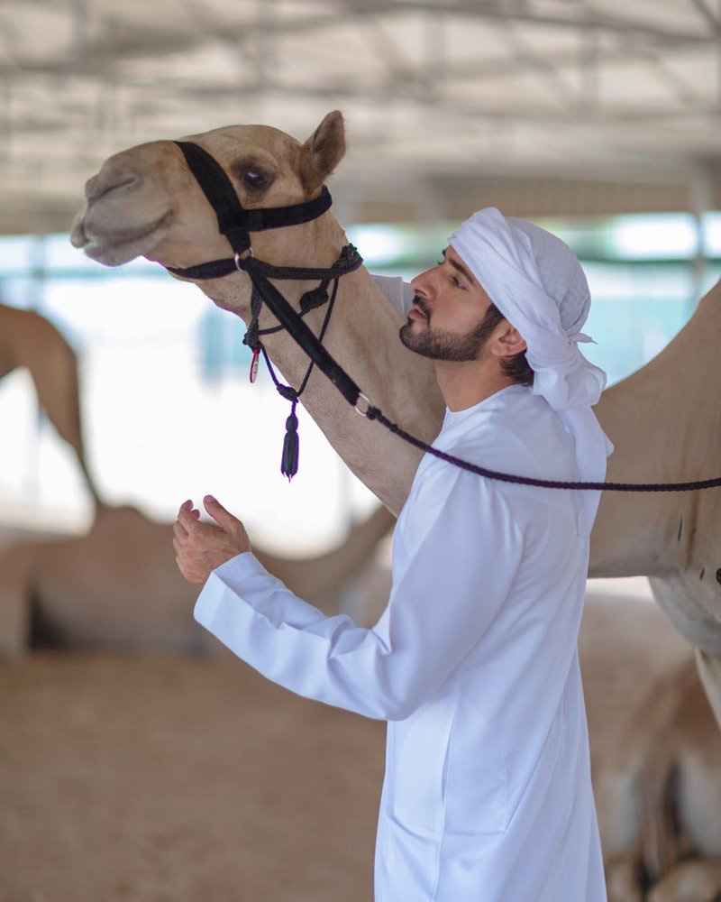 เจ้าชายดูไบ ทรงอัปเดตคลิปนกน้อยทำรัง