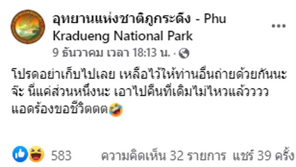 ใบเมเปิล ภูกระดึง