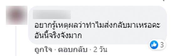 ใบเมเปิล ภูกระดึง
