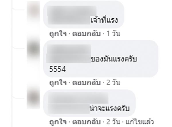 ใบเมเปิล ภูกระดึง