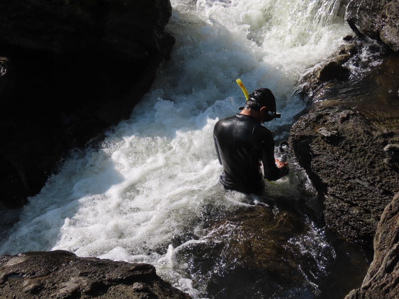 งมแหวนในน้ำตก