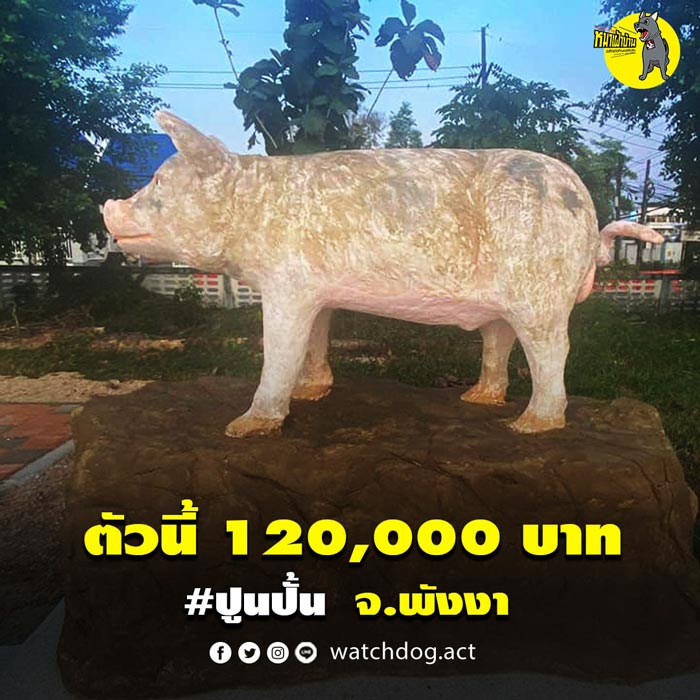 ดราม่ารูปปั้น หมูขี้กลาก
