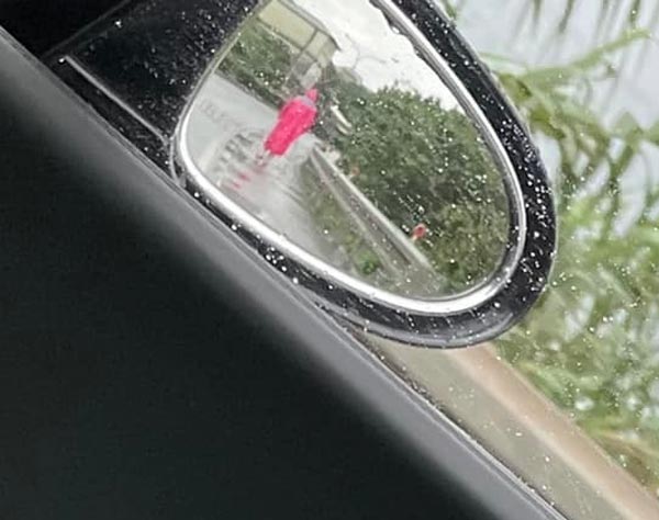 ภาพไวรัล