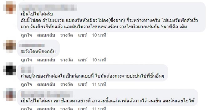 ไข่แมลงวันในอาหาร