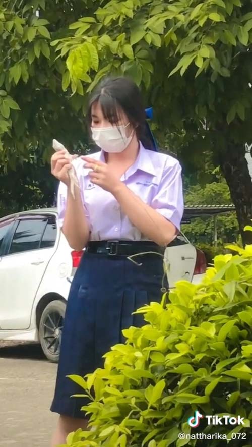 นักเรียนหญิงจับตุ๊กแก