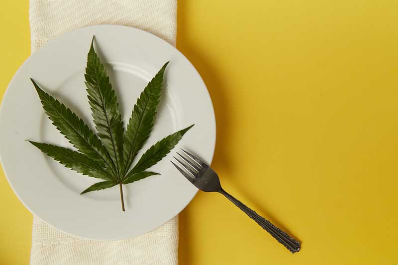 อาหารกัญชา